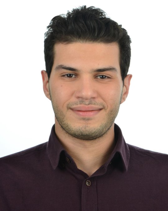 Elmasri Walid - English, Maths, Science tutor