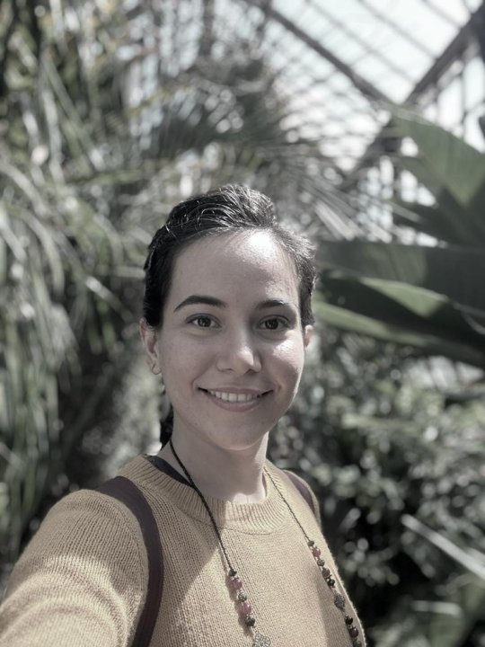Fateme - English tutor