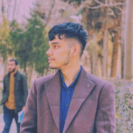 Reza Mohammad - English tutor