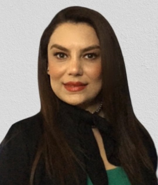 Behroozi Anoosheh - English tutor
