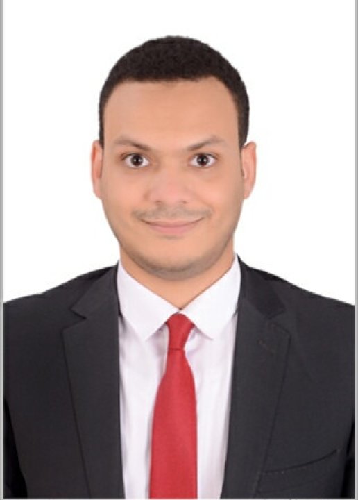 Ahmed Hossam - English, Statistics, Management tutor