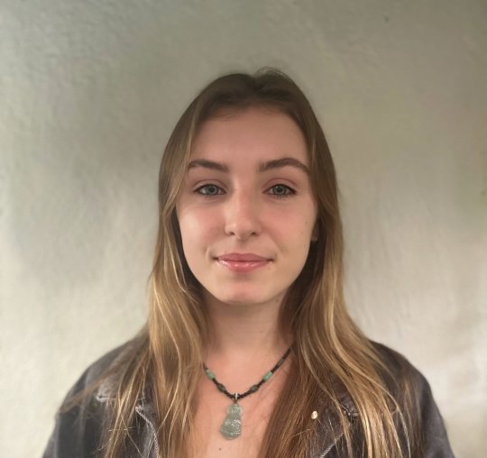 Knox Phoenix - English, Maths tutor