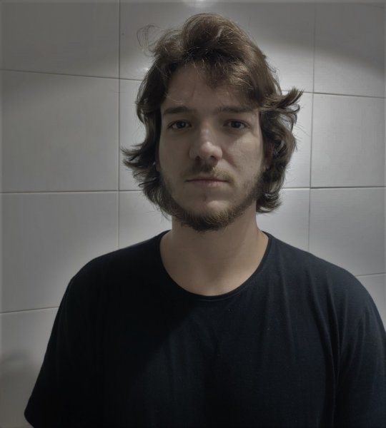 Felipe Martins de Almeida Morena Reis Luís - Physics, Maths tutor