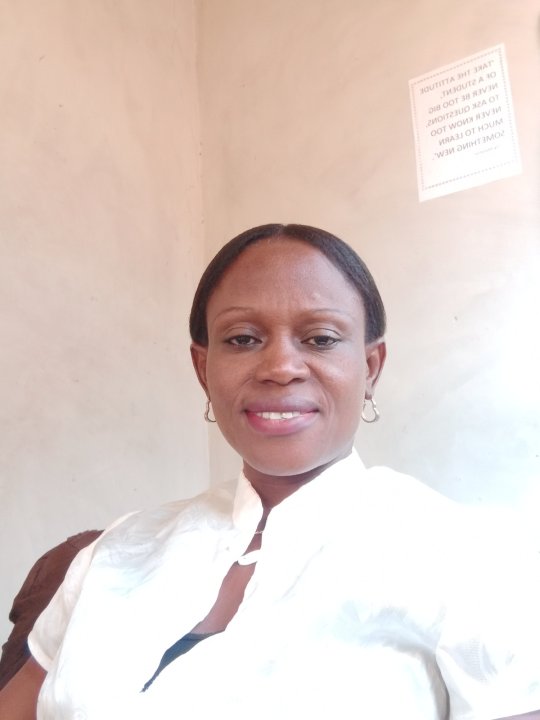 Olugbemi Bola - English, Biology, Maths tutor