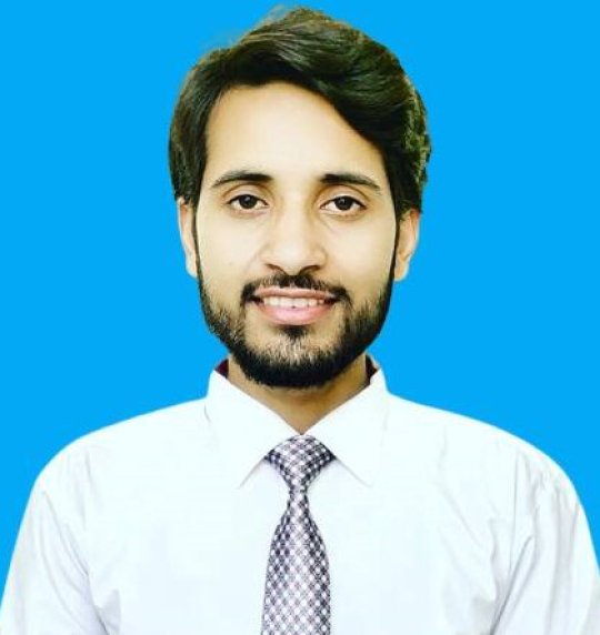 Raza Ali - Maths, English, Physics tutor