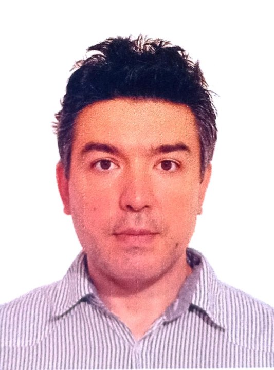 Placinta Dragos - Social Science, Journalism , Sociology, Maths, English tutor