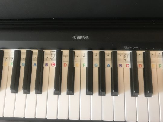 brown Millie - Piano, Music Theory tutor