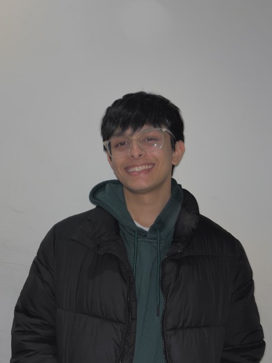 Aaryan - Maths, English, Physics tutor